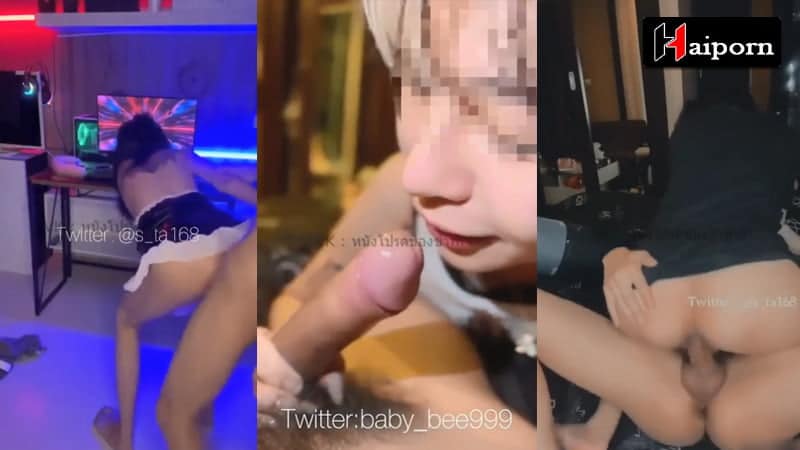 รวมคลิปเย็ด หลุด twitter น้องผึ้ง สาวสตรีมเมอร์สุดสวย ร่านควย เป็นชีวิต มีทั้งงานไลฟ์สด คาชุดนักศึกษา เย็ดสด อมควย ครบจบในคลิปเดียว