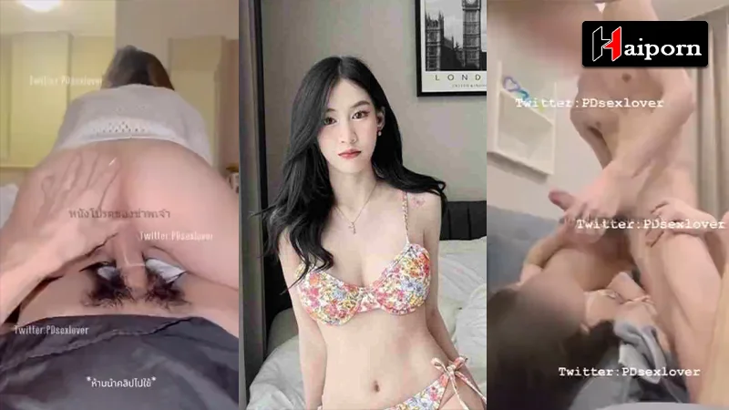 หลุดทวิตเตอร์ สาวหีสวย โดนควยใหญ่เย็ด งานดีๆเสียวๆ ที่เราคัดสรรมาให้ สกิลดูดควยอย่างเด็ด เย็ดขย่ม โคตรเสียว ปล่อยแตกใส่ปาก ฟินๆ